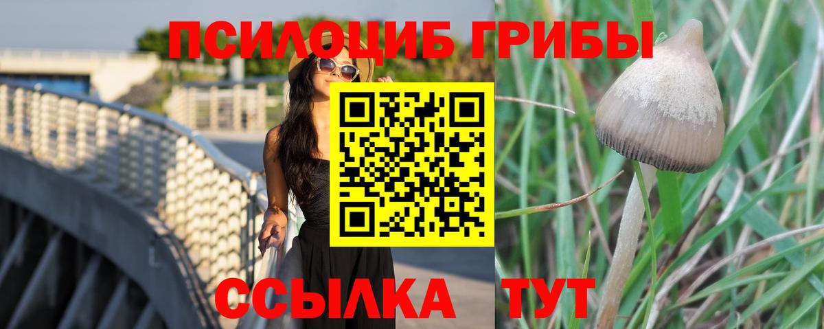 Лесосибирск  Галлюциногенные грибы Magic Shrooms  Вход с VPN 
